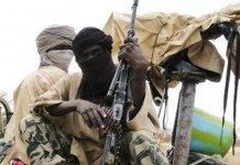Boko Haram, Chadian Mercenaries Kill 11 Persons In Fresh Borno Attack