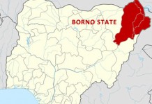 ‘Borno, Not Ready For Restoration Of GSM Services’