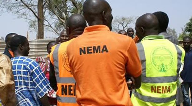 NEMA1