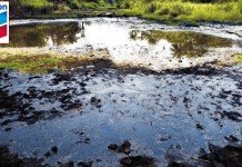 Bayelsa: Fresh Oil Spill Unsettles Koluama Community