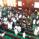 PROFESSIONALIZING THE ART OF LAWMAKING IN NIGERIA