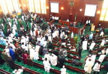 PROFESSIONALIZING THE ART OF LAWMAKING IN NIGERIA