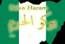 THEWILL EDITORIAL: Amnesty For Boko Haram