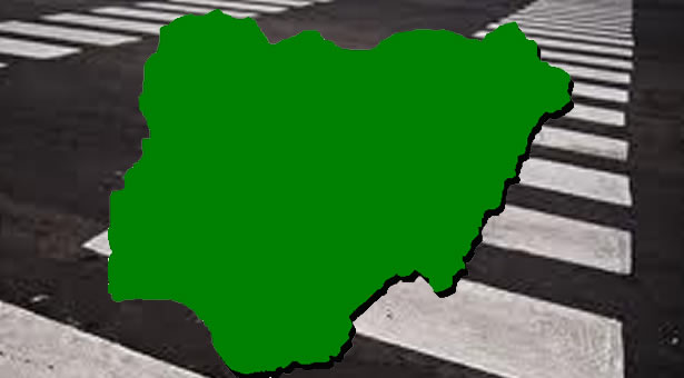 naiajzebra