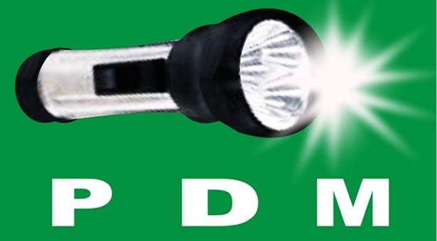 PDMLOGO