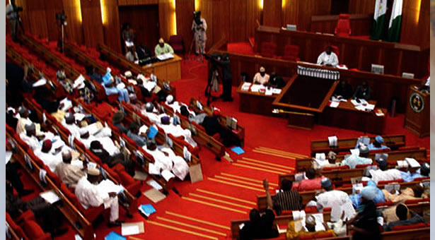 SENATE3
