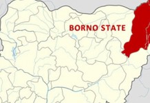 Borno Blames Rise In Polio Cases On Boko Haram