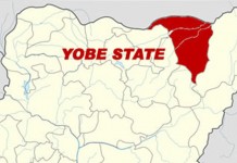 Yobe Splashes N1.263Bn On Retirees As Pension