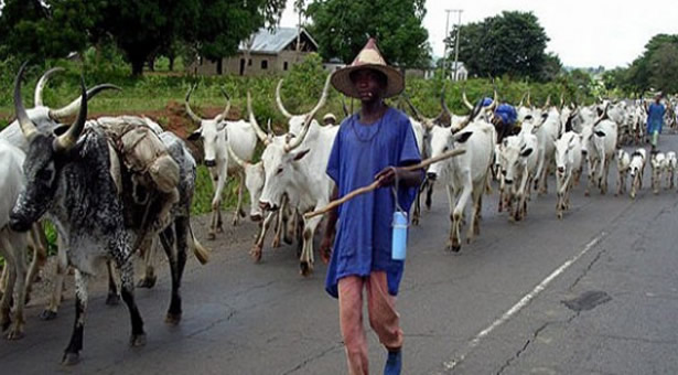 herdsmen