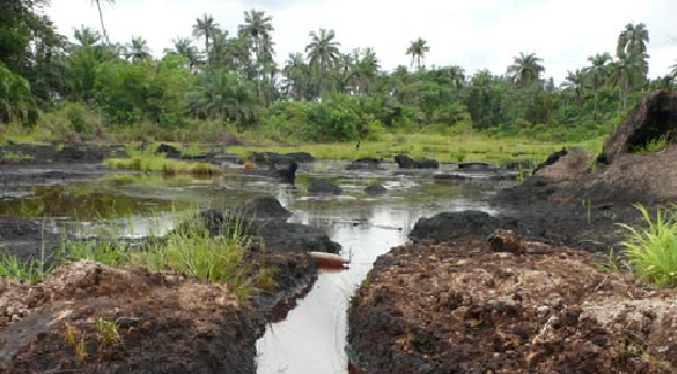 oil spill seplat