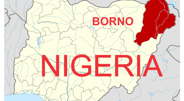 BORNO 4