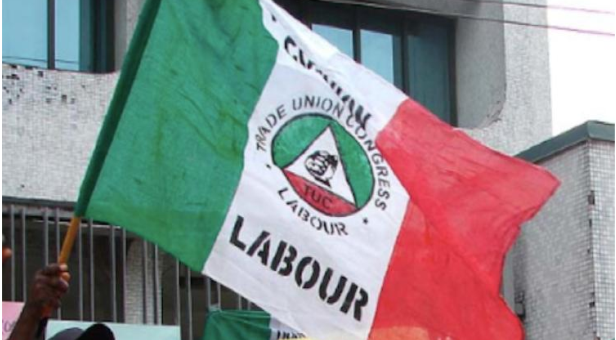 nlc