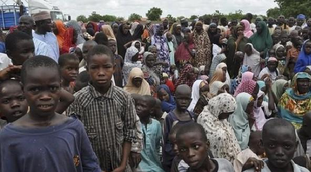 IDP BORNO