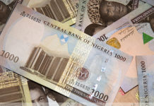 THEWILL Editorial: No, To Naira Devaluation