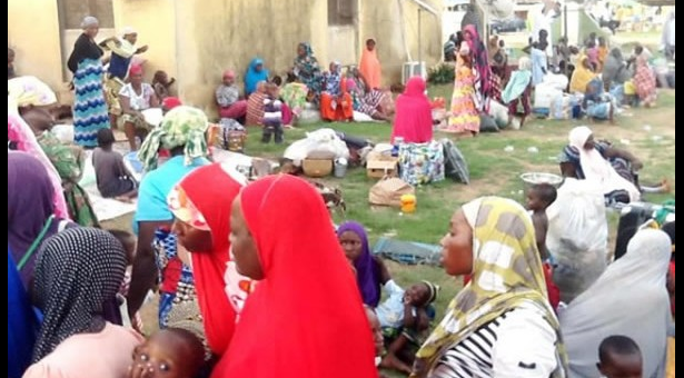 borno idp 2