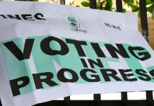 THEWILL Editorial: Need For Electoral Reforms In The Face of Anomalies Voting
