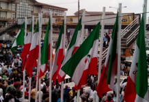 THEWILL Editorial: PDP Leadership Crisis And The 2019 General Elections