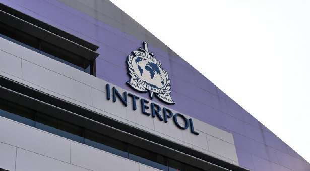 INTERPOL INTERPOL