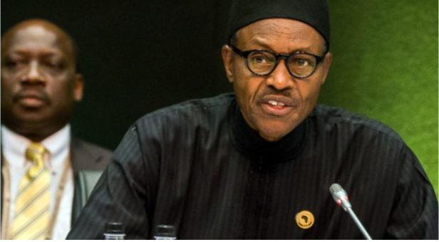 buhari ann