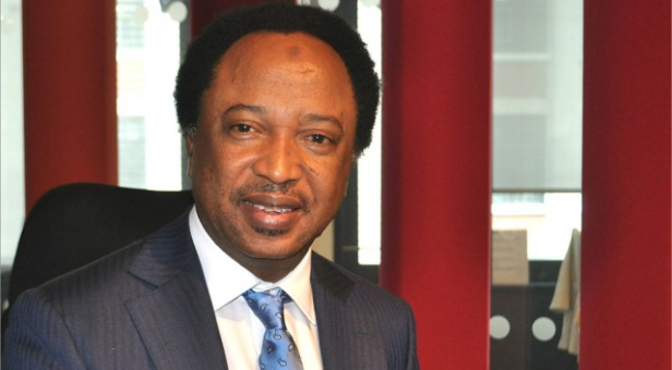 shehu sani