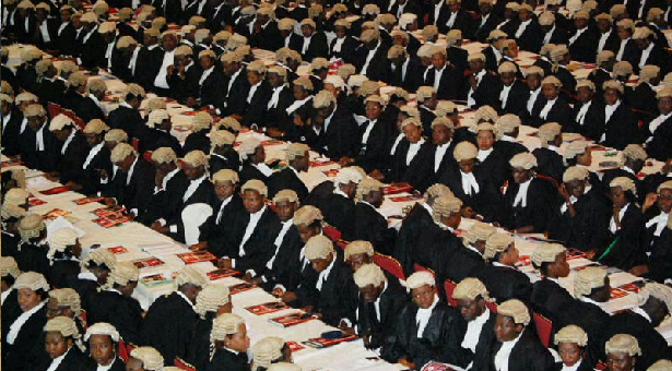 LAWYERS