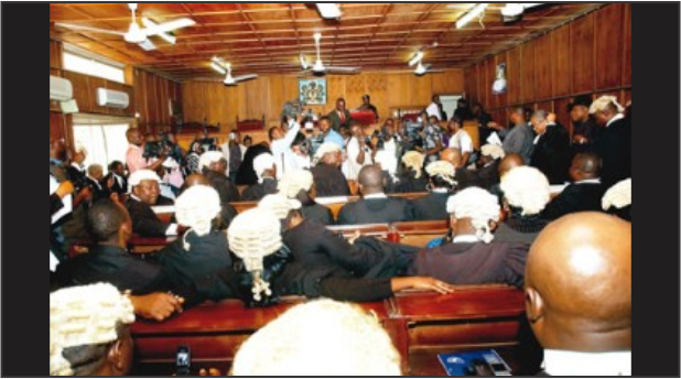 Tribunal