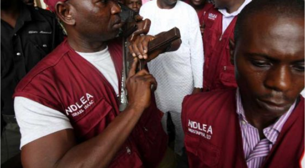 NDLEA