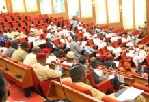 THEWILL Editorial: N4.2bn SUVs: Senate Must Lead By Example