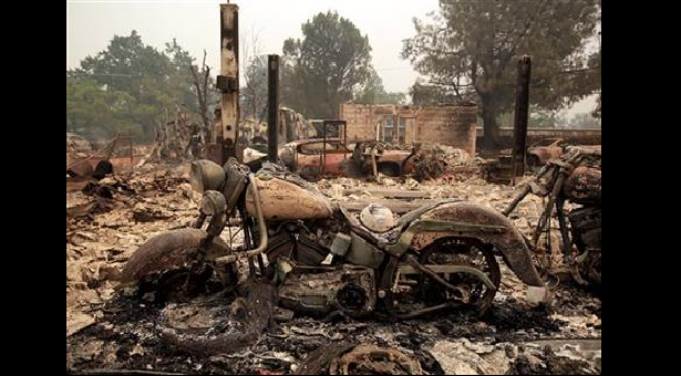 WILDFIRE - THEWILL NEWS MEDIA WILDFIRE