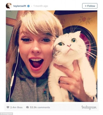 6 - Taylor Swift with her cat Meredith - THEWILL NEWS MEDIA