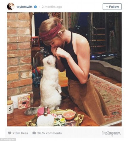 8- Taylor Swift with her cat Meredith - THEWILL NEWS MEDIA