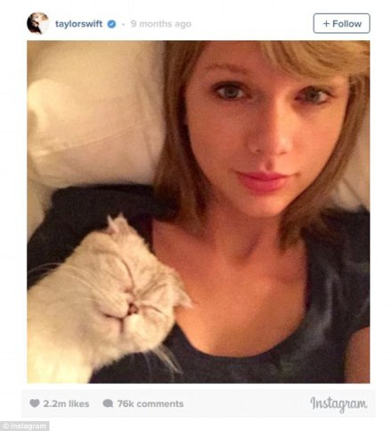 9- Taylor Swift in bed with her cat - THEWILL NEWS MEDIA
