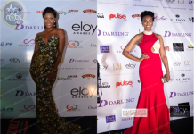 Top Celebs & Socialites Attend ELOY Awards 2015! Check Out The Official Photos & Winners List