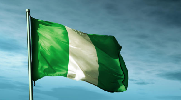 nig flag 3