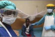 THEWILL Editorial: Enlightenment Is Key To Fighting LASSA Fever Outbreak