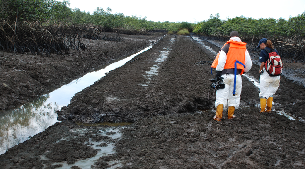 OGONI LAND