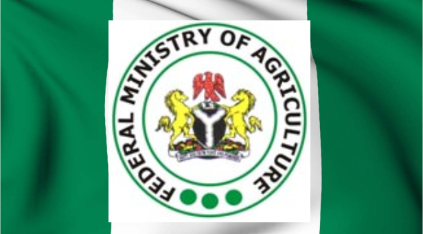 agriculture