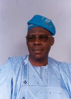 borishade - THEWILL NEWS MEDIA Babalola Borishade