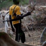 Four Dead As Suspected Armed Herdsmen Ambush Benue Farming Community Herdsmen