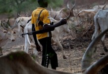 THEWILL Editorial: Enough Of These Raids, Killings By Fulani Herdsmen! Herdsmen