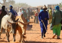 OPINION: HERDSMEN/FARMERS CLASH: THE PROBLEM WITH THE BUHARI’S FEDERAL GOVERNMENT