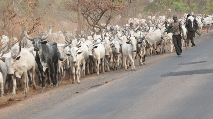 fulani