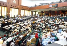THEWILL Editorial: The NASS Budget Padding Scandal