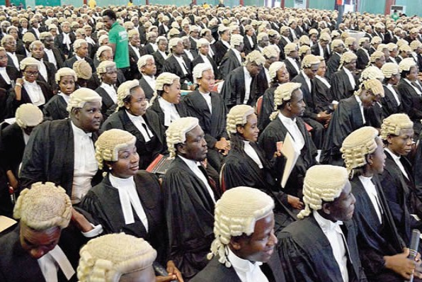 lawyers