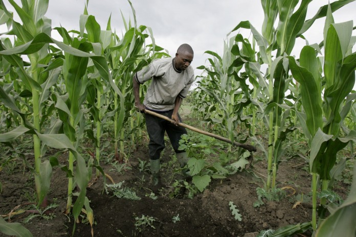 Rethinking Africa From The Ground Up