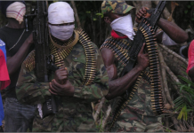 THEWILL Editorial: Preventing The Niger Delta Crisis From Degenerating Further militant