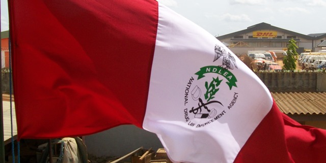 NDLEA flag