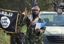 Come Out And Fight: Shariah Council Dares Shekau