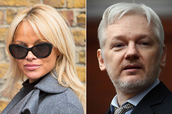 assange