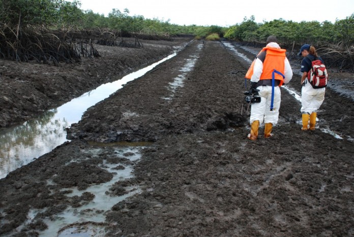 niger-delta-cleanup